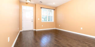 3 CANNON Drive Gallery 4