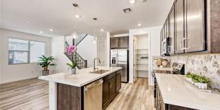 1509 Melodic Lark Drive Gallery 9