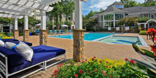 Cavalier @ 100 Gallery 14