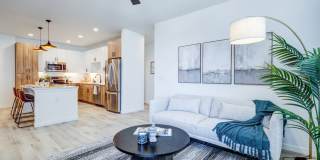 Tempo at Nine Mile Station Gallery 13