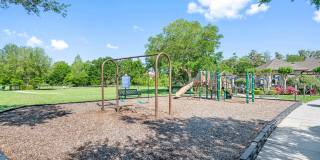 Cortland Independence Gallery 29