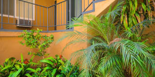 1951 Frank St. / 2519 Virginia Ave Gallery 57