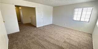 2059 Club Crest Way Gallery 16