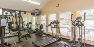Windrose Apartments Gallery 7
