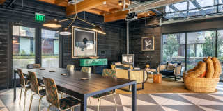 Arlo Gallery 45