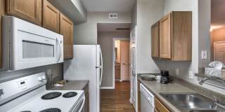 Saddle Creek Gallery 2