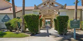 Desert Oasis Gallery 16
