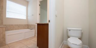 3/2  + Office Single Family Home in Village Walk of Lake Nona Gallery 29