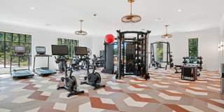 NOVEL Davidson Gallery 21