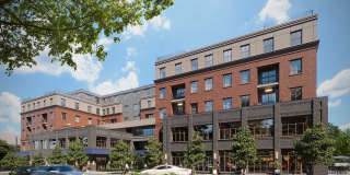 The Fitzgerald Gallery 1