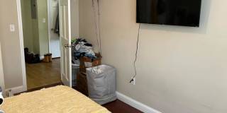 8 Morton Ave. Gallery 8