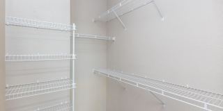 RIZE at Winter Springs Gallery 110