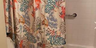 2 Bedroom 2 Bath, Condo for Rent! Gallery 17