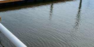 42 Green Turtle Lane Gallery 2