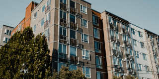 Leva on Market Gallery 33