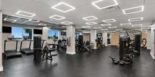 Wake Biscayne Bay Gallery 26