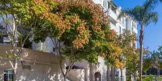 La Jolla Crossroads Gallery 19