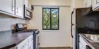 The Livingston Apartments Gallery 1