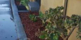 4542 Imperial Hwy. Gallery 17