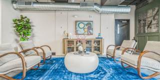 Plant 64 Gallery 46