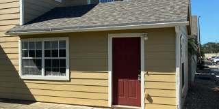 804 Washington Palm Loop- B Gallery 1