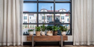 The Monterey Gallery 32