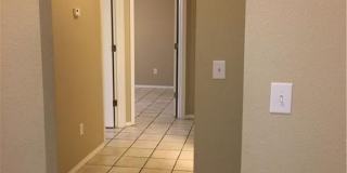 2905 Essex Place Gallery 9