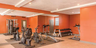 Addison Park Gallery 12