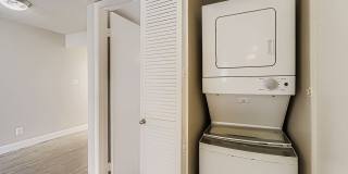 Rise on Cactus Gallery 95