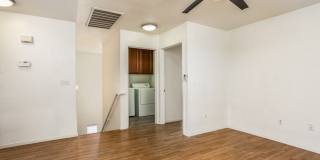 1236 La Ballena Trail Gallery 17