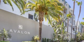 Avalon Woodland Hills Gallery 35