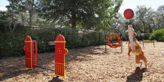 Ashton at Waterford Lakes Gallery 29