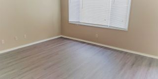 Hickory Grove Apartments Gallery 13