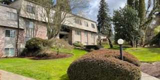 Fir Terrace Gallery 1