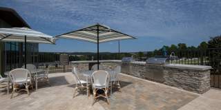 Canopy Park Gallery 21