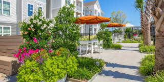 Middle Sound West Apartments Gallery 8