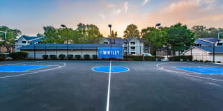 The Whitley Apartments The Whitley Apartments Gallery 17