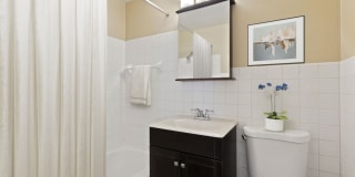 Rose Vista Gallery 6