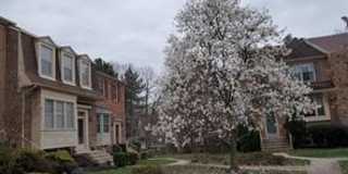 6315 MILLWOOD Court Gallery 1