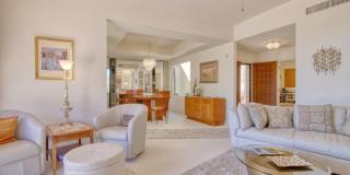 784 E Camino Diestro Gallery 8