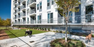 Spectrum on Spring Gallery 4