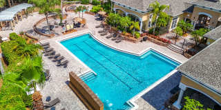 Beautiful 2BR Condo in Desirable Courtney Palms Gallery 1
