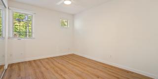 Newly renovated downstairs 1 bedroom 1 bath. Gallery 14