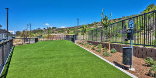 Ocean Creek Gallery 48