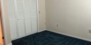 Lakeview Condo Available | Directly Across from Lake Hollingsworth Gallery 20