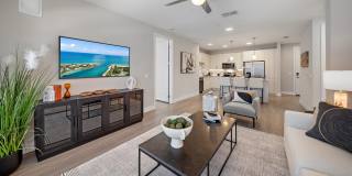 Mira at Palmer Ranch - 55+ Senior Living Community Gallery 6