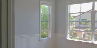 132 Island Coral Gallery 28