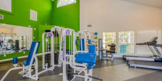 Ellevate St. Ives Gallery 5