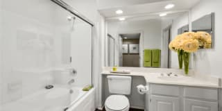 The Lanesborough Apartments Gallery 36