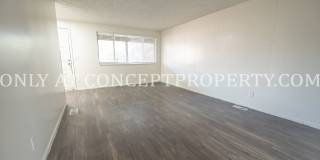 3637 South 900 East Gallery 91